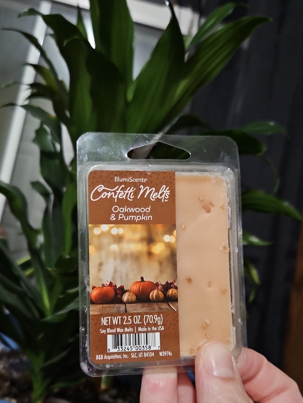 NWT IllumiScents Confetti Melts Oakwood & Pumpkin Wax Melts